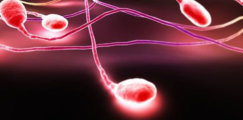 Ανδρολογία