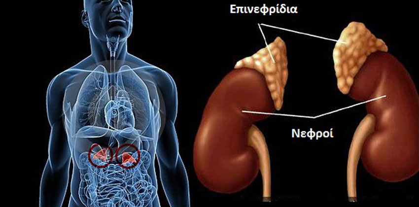 Επεμβάσεις επινεφριδίων