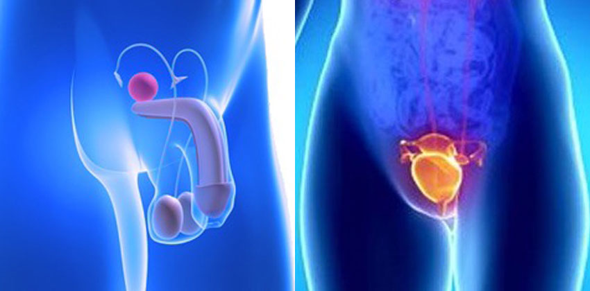 Επεμβάσεις Γεννητικού Συστήματος