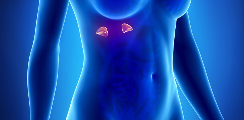 Καρκίνος Επινεφριδίων