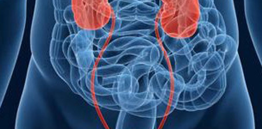 Επεμβάσεις νεφρών και ουρητήρα