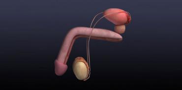 Πλαστική Αποκατάσταση Κάμψης Πέους